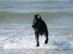 Finja am Meer
