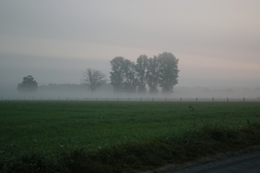 Hoxfeld im Nebel