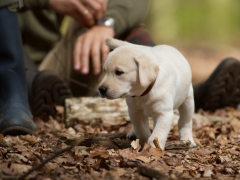 2 - 20160417-IMG_1467