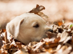 38 - 20160417-IMG_1648-2